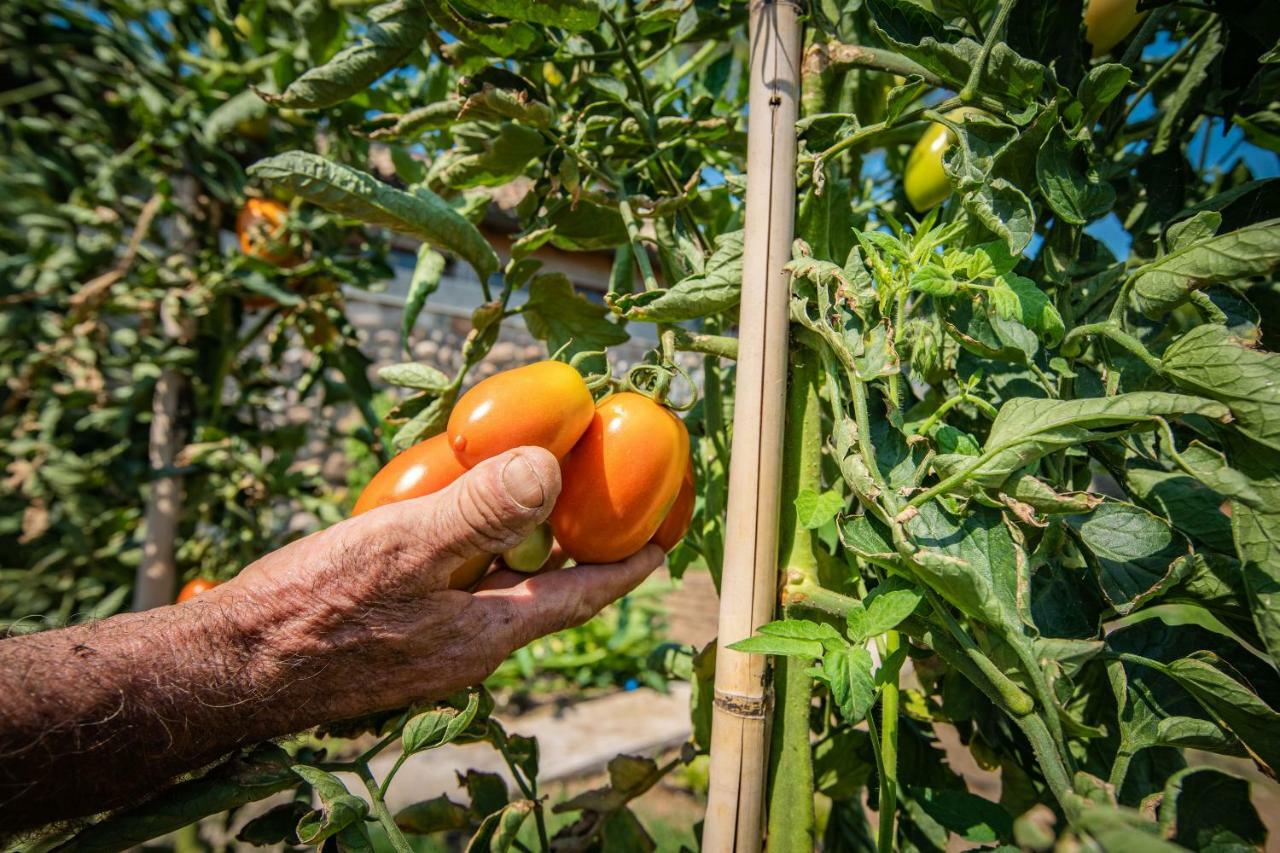 La Pertica Agroturismo *