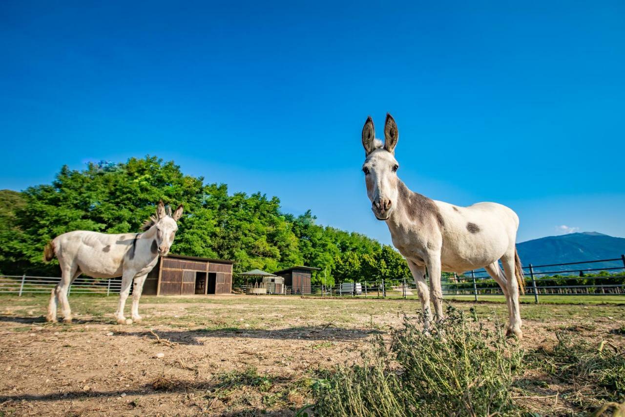 La Pertica Agroturismo Costermano