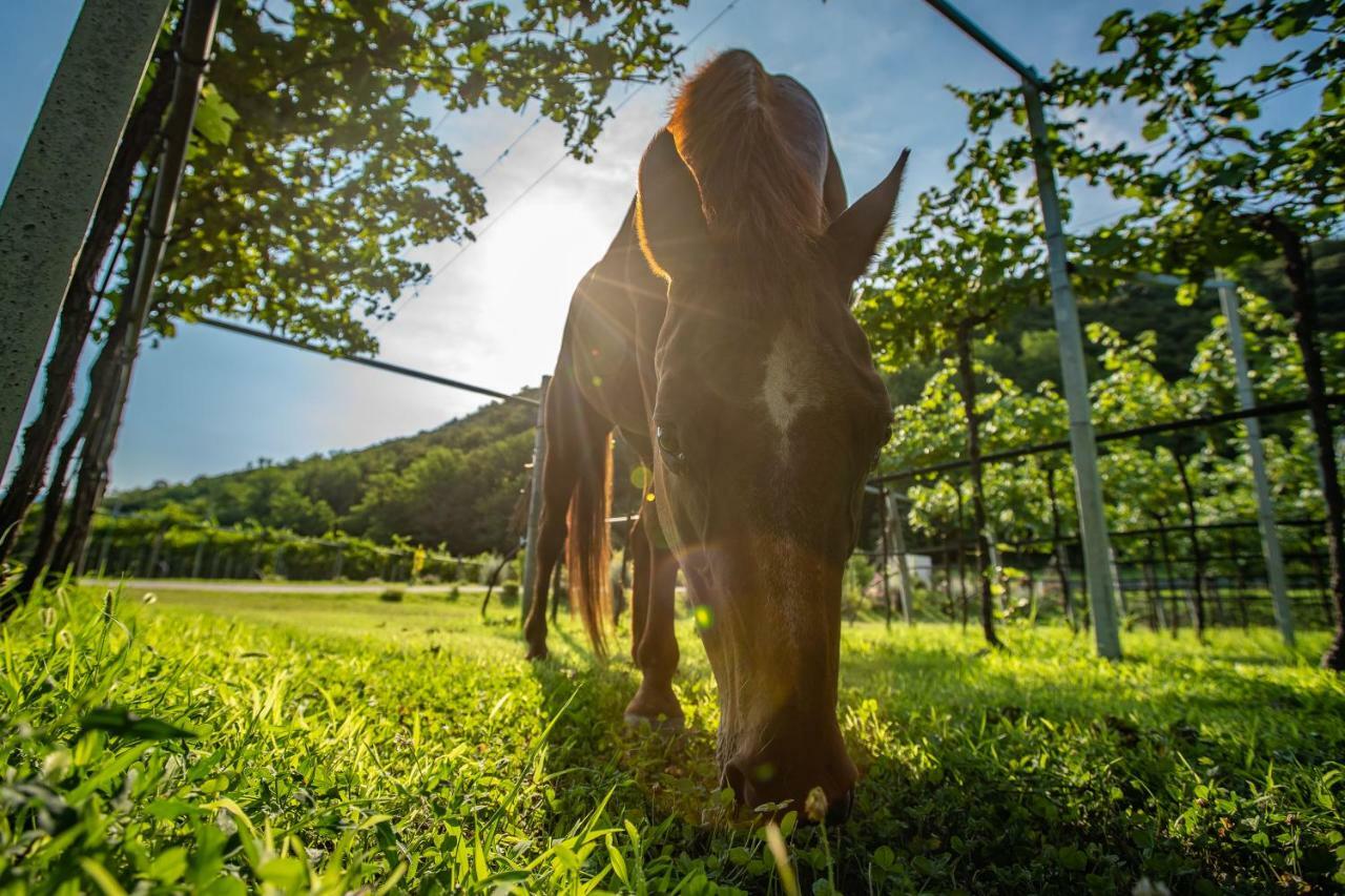 La Pertica Agroturismo